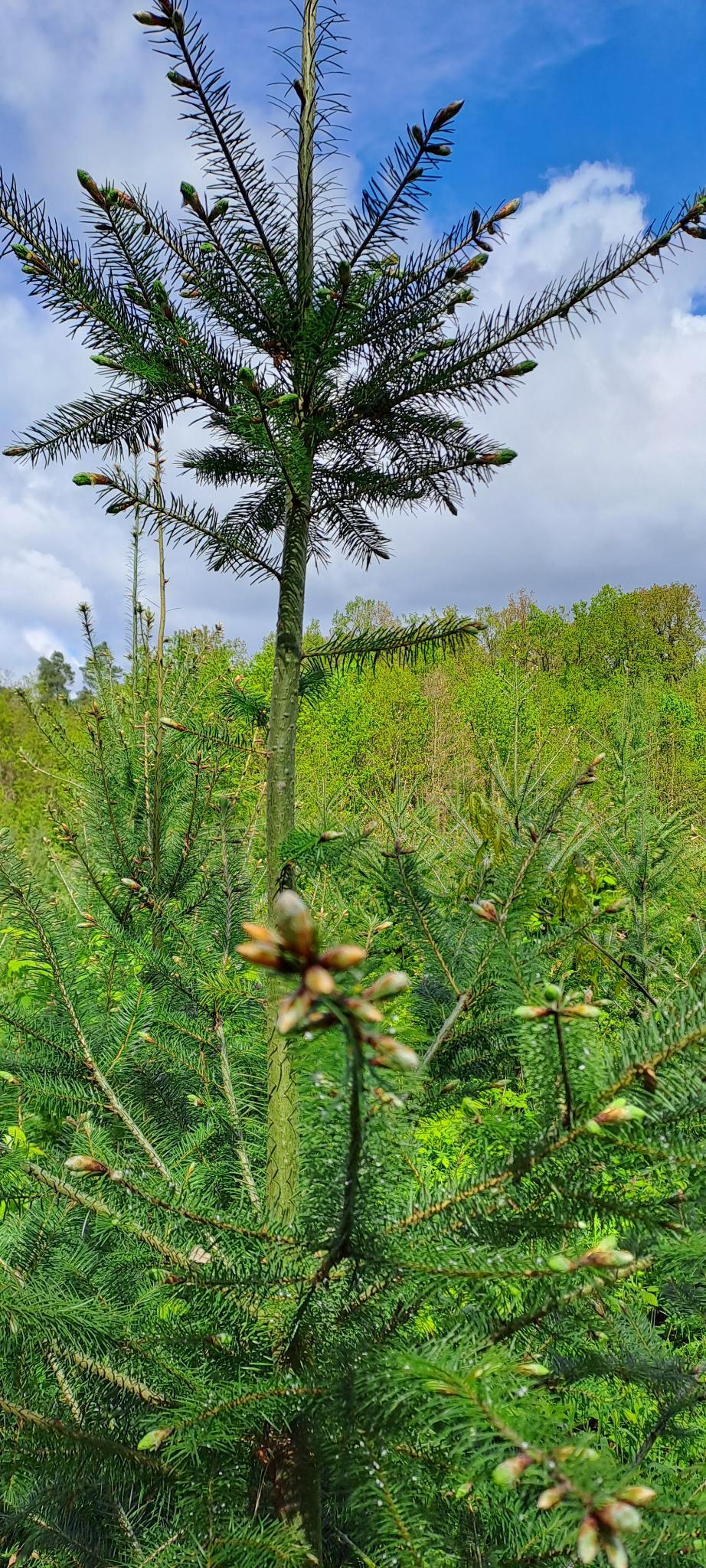 2024 04 21 144525 003